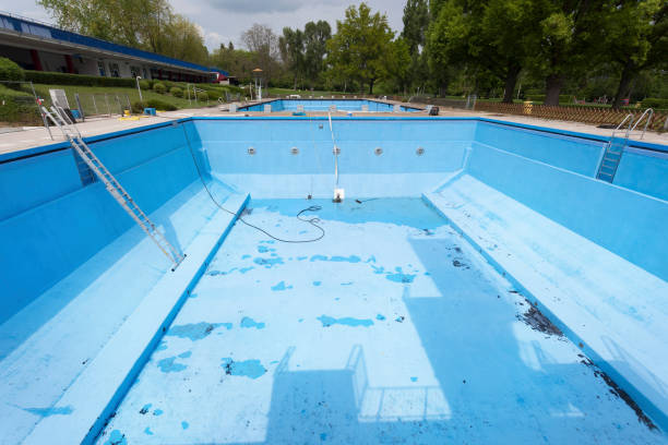 Best Water damage restoration company  in Rogersville, MO