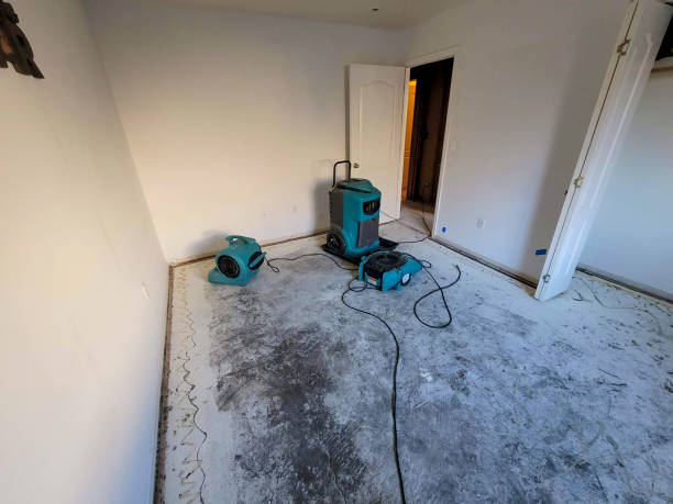 Professional Water damage restoration in Rogersville, MO