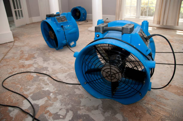 Best Ceiling water damage repair  in Rogersville, MO