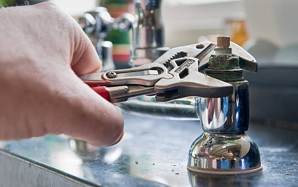 Best Mold removal after water damage  in Rogersville, MO
