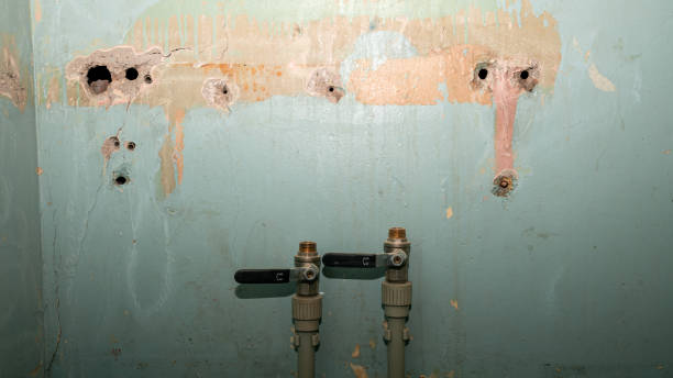 Best Emergency water damage restoration  in Rogersville, MO