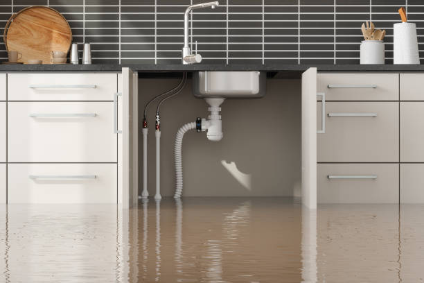 Best Local water damage restoration  in Rogersville, MO
